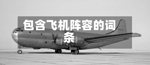 包含飞机阵容的词条