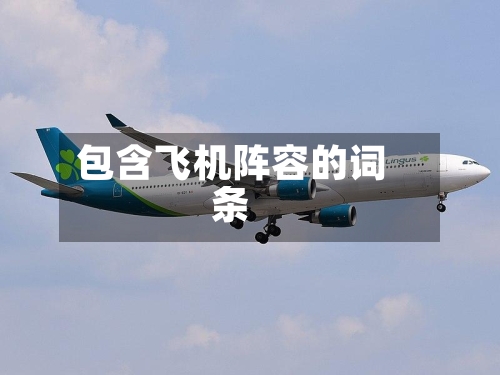 包含飞机阵容的词条