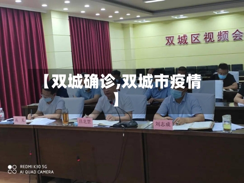 【双城确诊,双城市疫情】