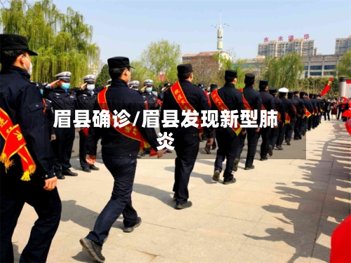 眉县确诊/眉县发现新型肺炎