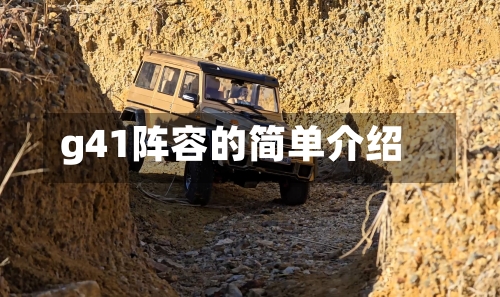 g41阵容的简单介绍