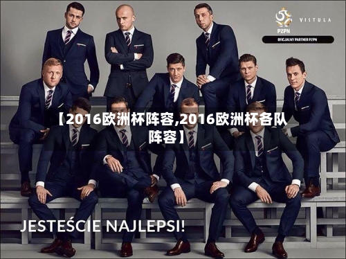 【2016欧洲杯阵容,2016欧洲杯各队阵容】
