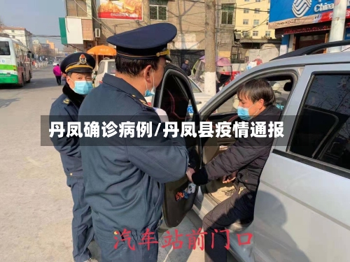 丹凤确诊病例/丹凤县疫情通报