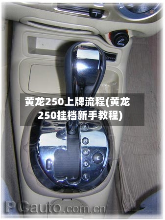 黄龙250上牌流程(黄龙250挂档新手教程)