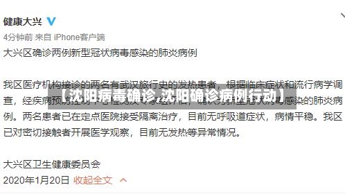 【沈阳病毒确诊,沈阳确诊病例行动】