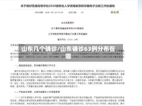 山东几个确诊/山东确诊63例分布在哪