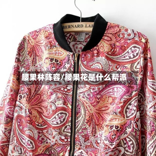 腰果林阵容/腰果花是什么帮派