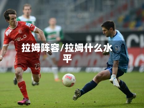 拉姆阵容/拉姆什么水平