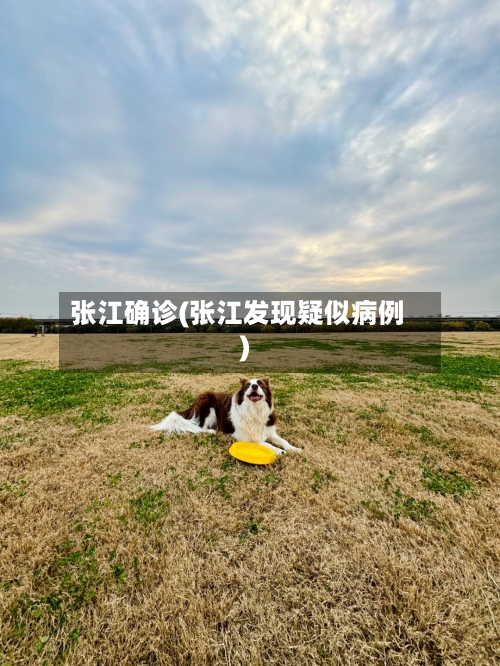 张江确诊(张江发现疑似病例)