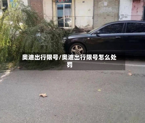 奥迪出行限号/奥迪出行限号怎么处罚