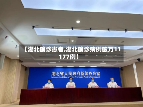 【湖北确诊患者,湖北确诊病例破万11177例】