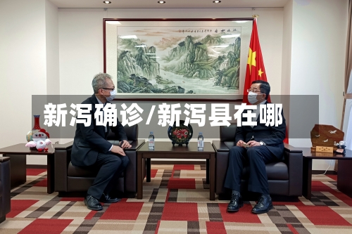 新泻确诊/新泻县在哪
