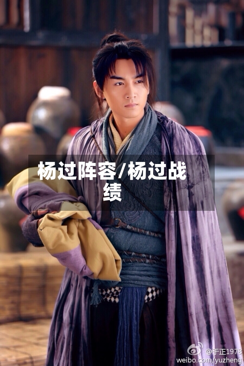 杨过阵容/杨过战绩