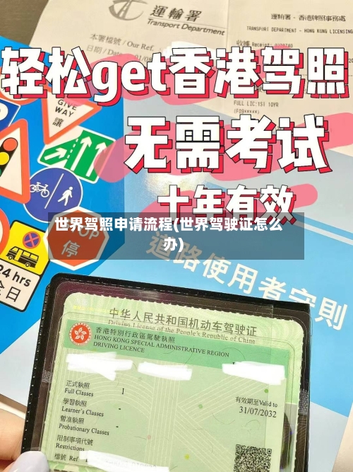 世界驾照申请流程(世界驾驶证怎么办)