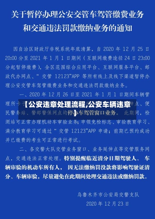 【公安违章处理流程,公安车辆违章】