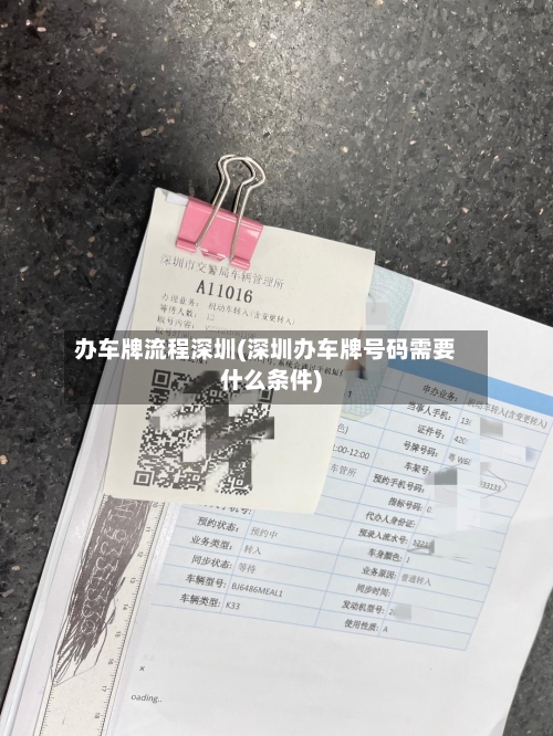 办车牌流程深圳(深圳办车牌号码需要什么条件)