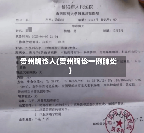 贵州确诊人(贵州确诊一例肺炎)