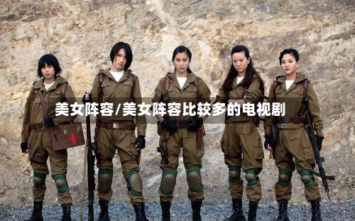 美女阵容/美女阵容比较多的电视剧