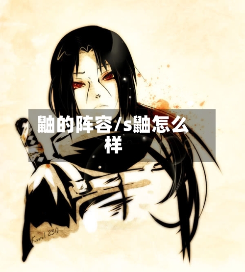 鼬的阵容/s鼬怎么样