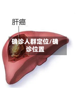 确诊人群定位/确诊位置