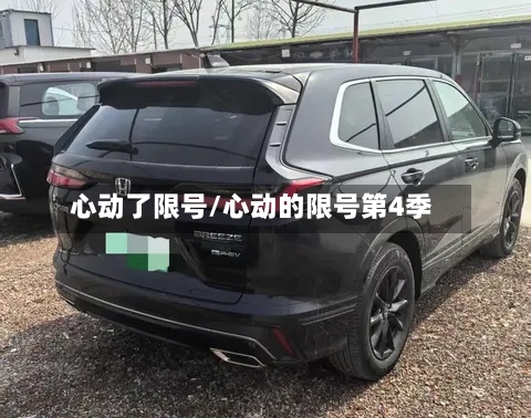 心动了限号/心动的限号第4季