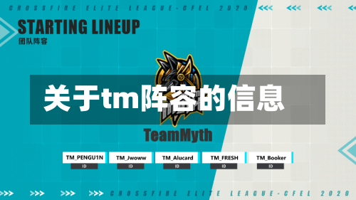 关于tm阵容的信息