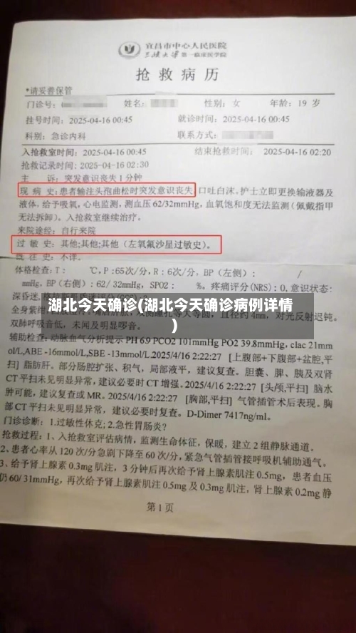 湖北今天确诊(湖北今天确诊病例详情)
