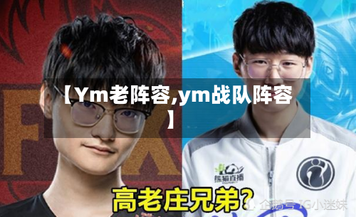 【Ym老阵容,ym战队阵容】