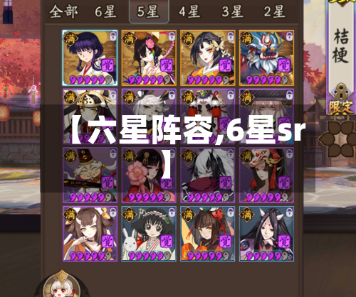 【六星阵容,6星sr】