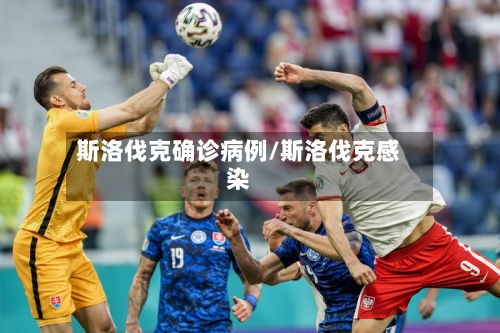 斯洛伐克确诊病例/斯洛伐克感染