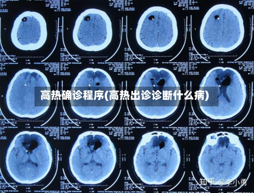 高热确诊程序(高热出诊诊断什么病)