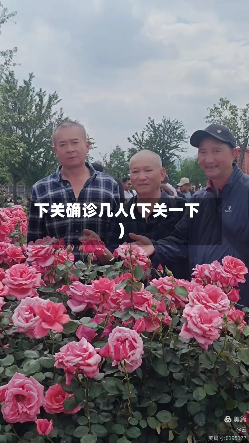 下关确诊几人(下关一下)