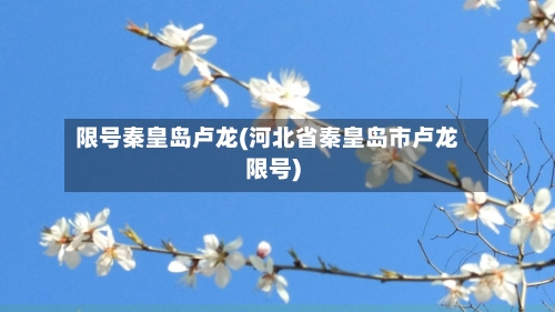 限号秦皇岛卢龙(河北省秦皇岛市卢龙限号)