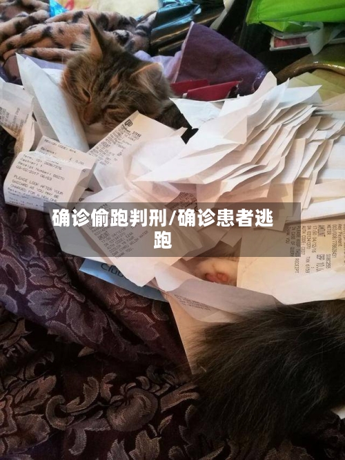 确诊偷跑判刑/确诊患者逃跑