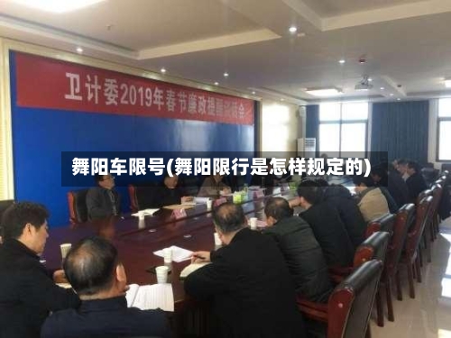 舞阳车限号(舞阳限行是怎样规定的)