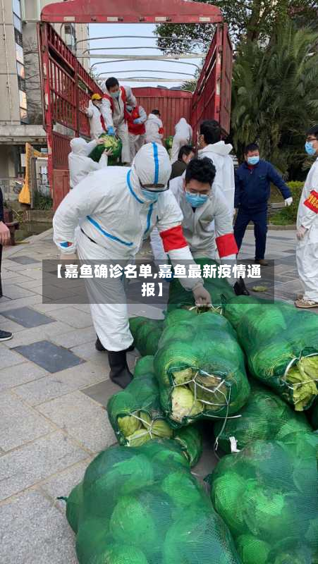 【嘉鱼确诊名单,嘉鱼最新疫情通报】