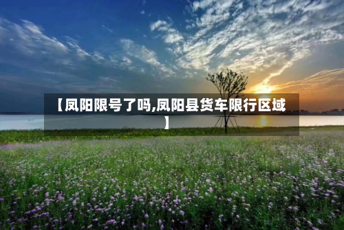 【凤阳限号了吗,凤阳县货车限行区域】