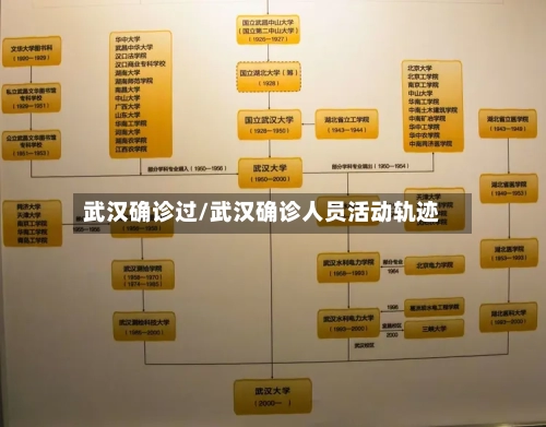武汉确诊过/武汉确诊人员活动轨迹