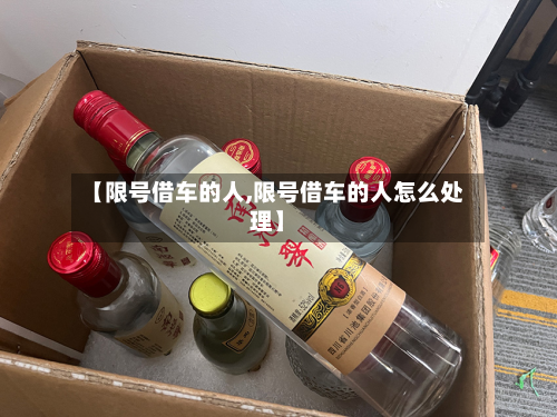 【限号借车的人,限号借车的人怎么处理】
