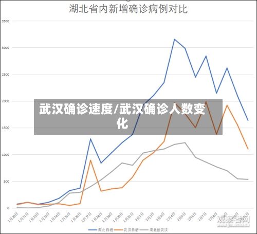武汉确诊速度/武汉确诊人数变化