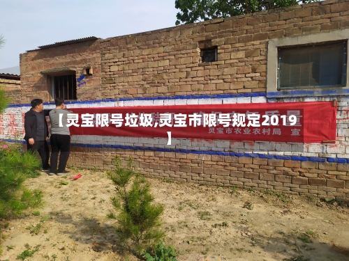 【灵宝限号垃圾,灵宝市限号规定2019】