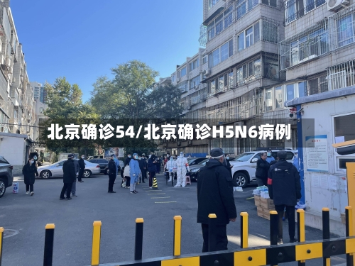 北京确诊54/北京确诊H5N6病例