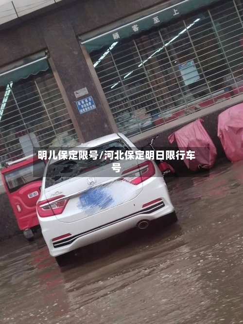 明儿保定限号/河北保定明日限行车号