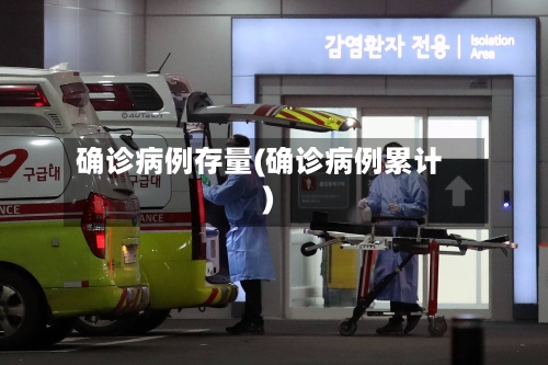 确诊病例存量(确诊病例累计)