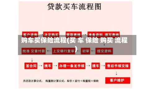 购车买保险流程(买 车 保险 购买 流程)