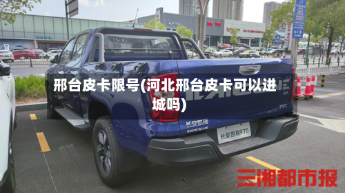 邢台皮卡限号(河北邢台皮卡可以进城吗)