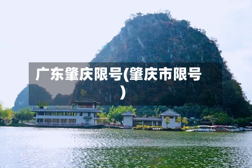 广东肇庆限号(肇庆市限号)