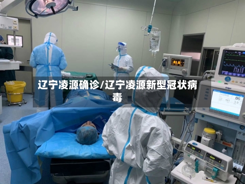 辽宁凌源确诊/辽宁凌源新型冠状病毒