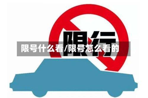 限号什么看/限号怎么看的