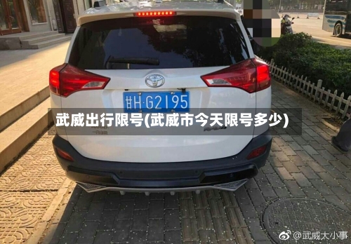 武威出行限号(武威市今天限号多少)